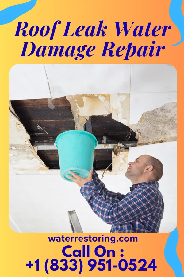 Roof Leak Water Damage Repair in Chumuckla, FL